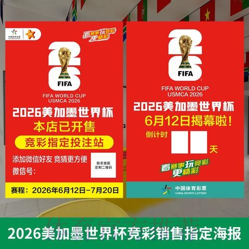 世界杯投注新入口全览与热门推荐